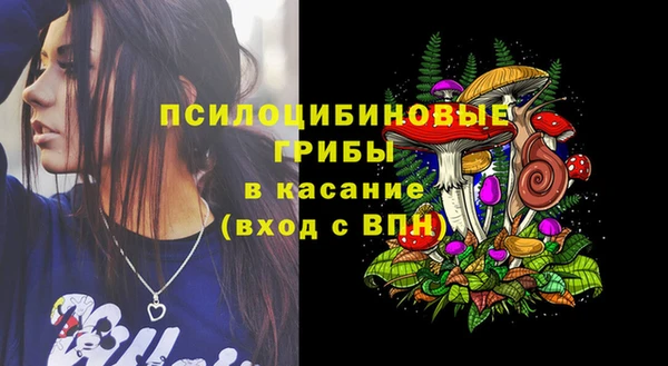 a pvp Армянск
